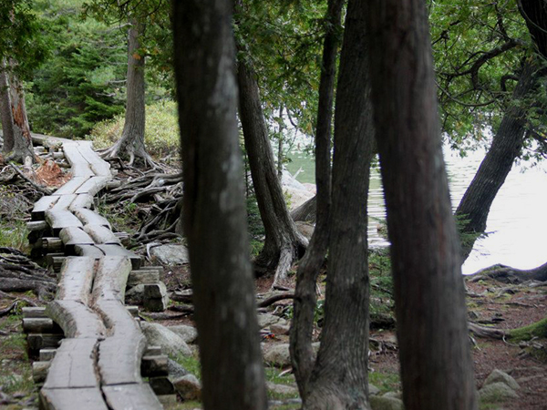 Log trail section of Jordan Pond trail