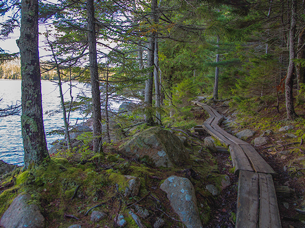 Log trail along the banks of Jordan Pond trail
