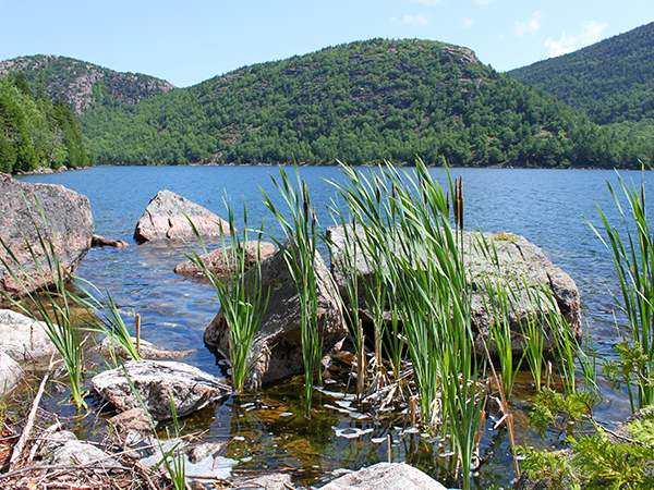 Jordan Pond