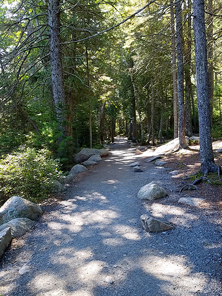 Jordan Pond Trail