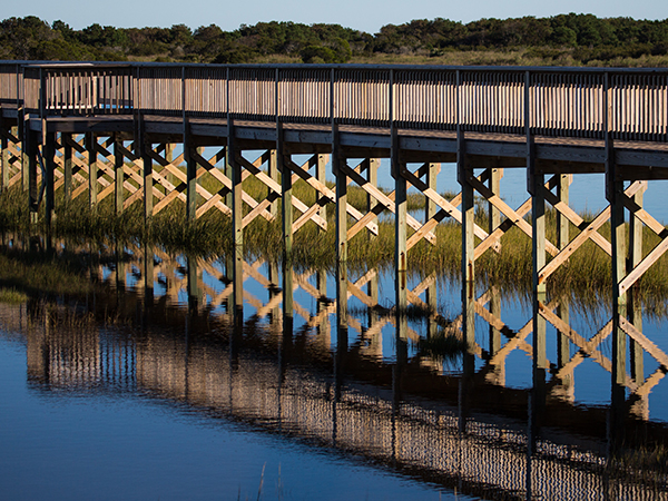 Marsh walkway in Assateague Island National Seashore